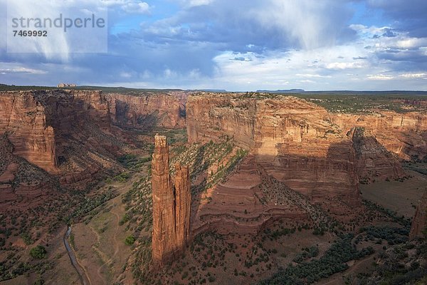 Vereinigte Staaten von Amerika  USA  Felsbrocken  Ignoranz  Nordamerika  Arizona  Spinne