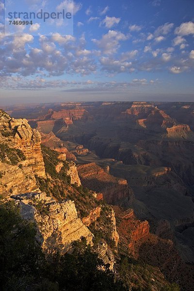 Vereinigte Staaten von Amerika  USA  Nordamerika  Arizona  Grand Canyon Nationalpark  UNESCO-Welterbe  South Rim