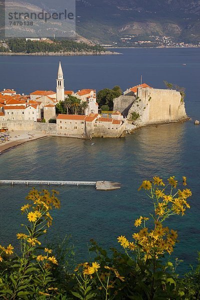 Europa Montenegro Ansicht der Altstadt