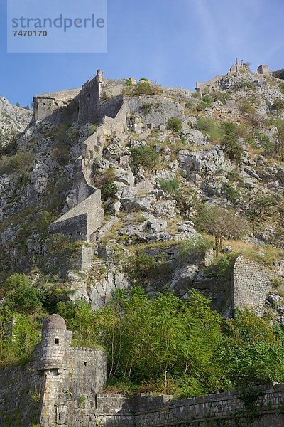 Europa  Festung  Altstadt  UNESCO-Welterbe  Kotor  Montenegro