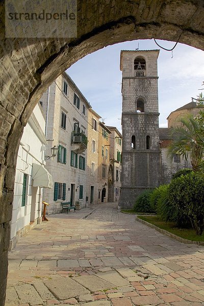 Europa  Altstadt  UNESCO-Welterbe  Kotor  Montenegro