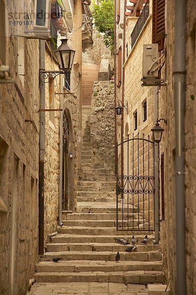 Europa  Altstadt  UNESCO-Welterbe  Kotor  Montenegro