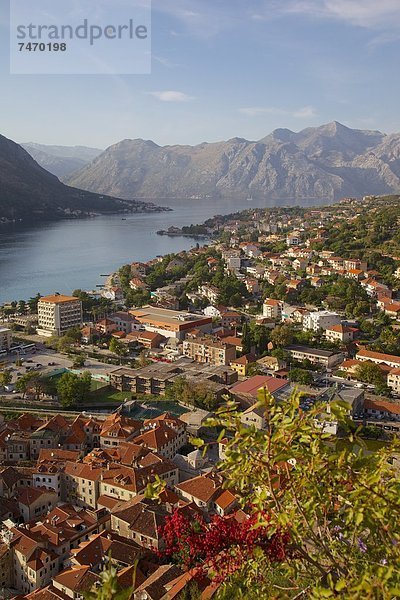 Europa über Stadt Festung Ansicht UNESCO-Welterbe Kotor Montenegro alt