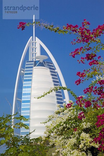 Burj Al Arab  Dubai  Vereinigte Arabische Emirate  Naher Osten