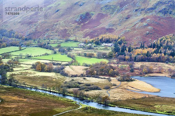 nahe  Laubwald  Europa  Großbritannien  Überraschung  Herbst  Ansicht  Borrowdale  Cumbria  England