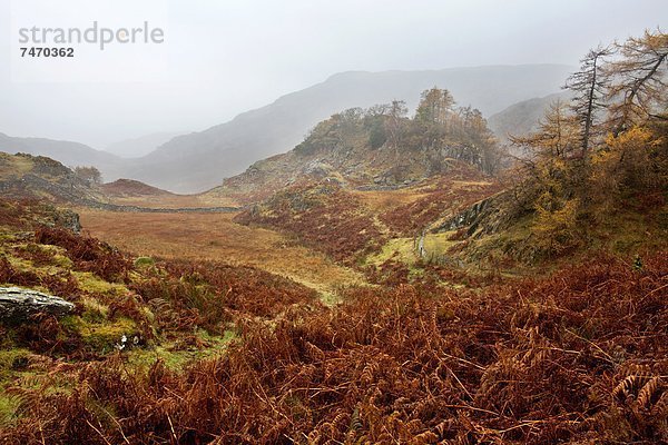 nahe  Europa  Palast  Schloß  Schlösser  Großbritannien  Dunst  Borrowdale  Cumbria  England