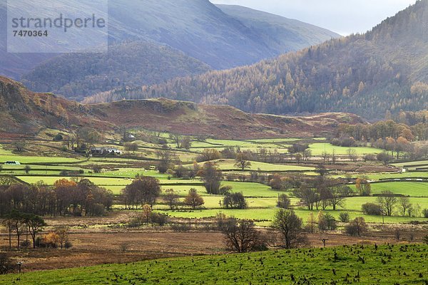 Europa  Stein  Großbritannien  Kreis  Boden  Fußboden  Fußböden  Tal  Cumbria  England  Keswick