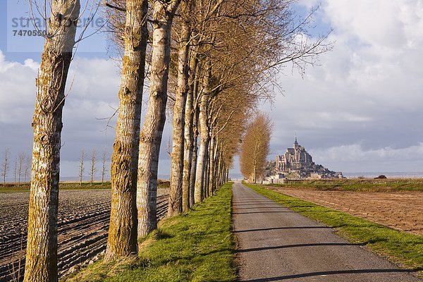 Frankreich  Europa  Baum  führen  Heiligtum  Menschenreihe  UNESCO-Welterbe  Allee  Normandie