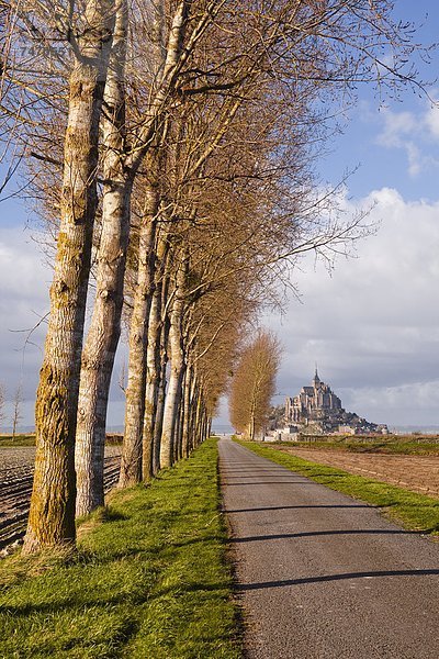 Frankreich  Europa  Baum  führen  Heiligtum  Menschenreihe  UNESCO-Welterbe  Allee  Normandie