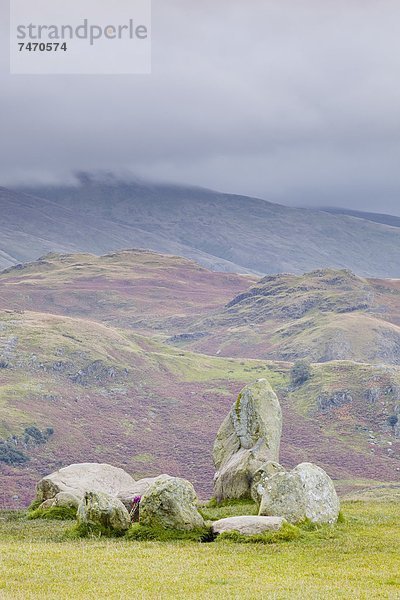 Europa  Stein  Großbritannien  See  Kreis  Cumbria  Ortsteil  England