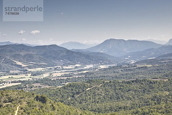 Bühne Theater  Bühnen  Frankreich  Europa  Ländliches Motiv  ländliche Motive  Hintergrund  Alpen  Provence - Alpes-Cote d Azur  Hochebene  Alpes-de-Haute-Provence  Valensole