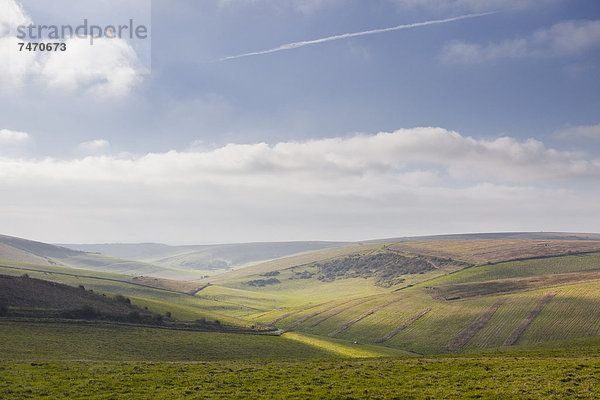 nahe  rollen  Europa  Großbritannien  Hügel  Boden  Fußboden  Fußböden  Baumstumpf  Brighton  England  South Downs  Sussex