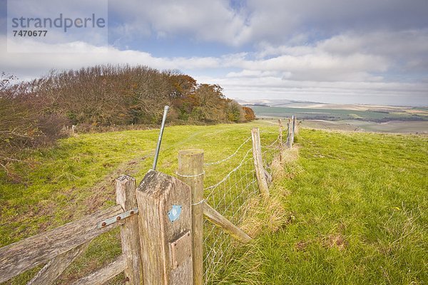 nahe  rollen  Europa  Großbritannien  Hügel  Brighton  England  South Downs  Sussex