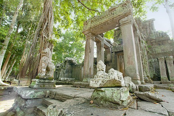 Südostasien  UNESCO-Welterbe  Vietnam  Angkor  Asien  Kambodscha  Siem Reap