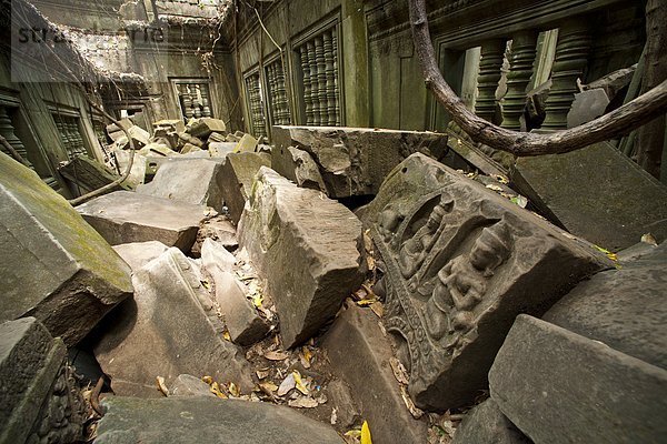 Südostasien  UNESCO-Welterbe  Vietnam  Angkor  Asien  Kambodscha  Siem Reap  Ta Prohm Tempel