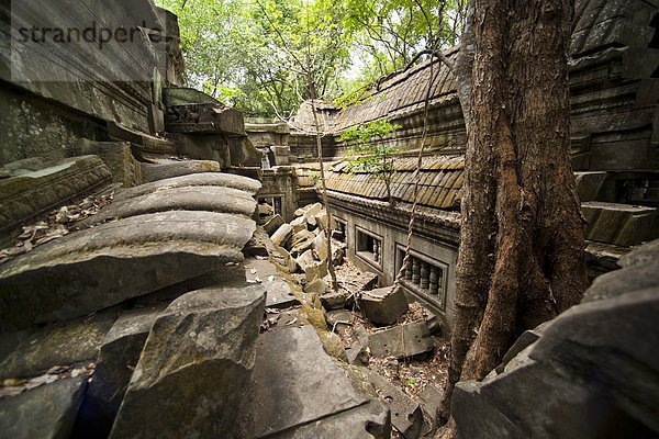 Südostasien  UNESCO-Welterbe  Vietnam  Angkor  Asien  Kambodscha  Siem Reap  Ta Prohm Tempel