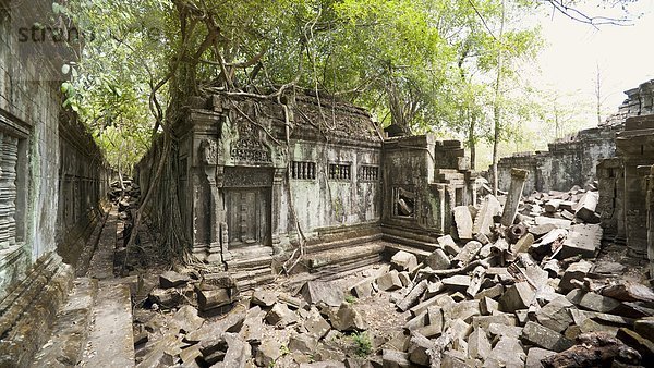 Südostasien  UNESCO-Welterbe  Vietnam  Angkor  Asien  Kambodscha  Siem Reap  Ta Prohm Tempel