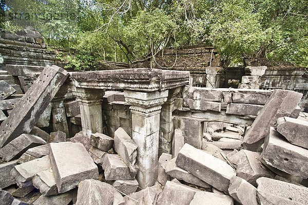 Südostasien  UNESCO-Welterbe  Vietnam  Angkor  Asien  Kambodscha  Siem Reap  Ta Prohm Tempel