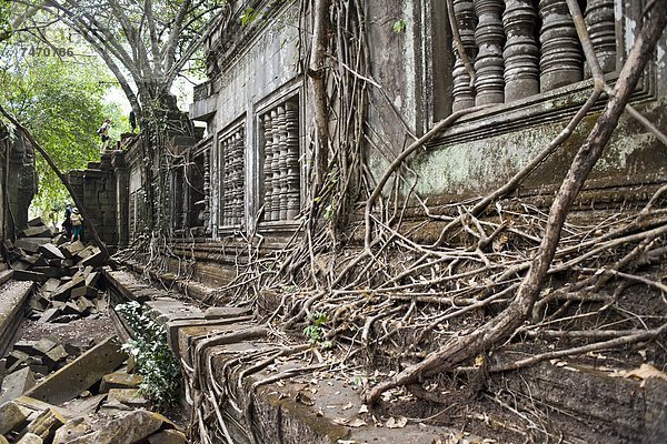 Südostasien  UNESCO-Welterbe  Vietnam  Angkor  Asien  Kambodscha  Siem Reap  Ta Prohm Tempel