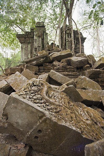 Südostasien  UNESCO-Welterbe  Vietnam  Angkor  Asien  Kambodscha  Siem Reap  Ta Prohm Tempel