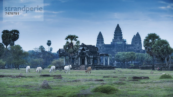 Südostasien  UNESCO-Welterbe  Vietnam  Angkor  Asien  Kambodscha  Siem Reap