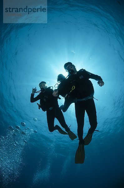 Nordafrika  niedrig  Gegenlicht  Taucher  Ansicht  Flachwinkelansicht  3  Scharm El-Scheich  Sharm el-Sheikh  Afrika  Winkel  Ägypten  Rotes Meer