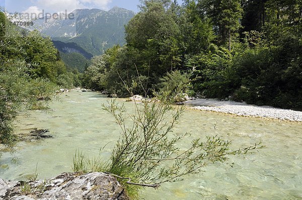 Europa  Alpen  Nationalpark Triglav  Slowenien