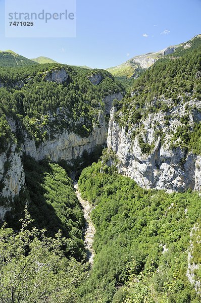 Europa  Steilküste  Fluss  Schlucht  Aragonien  Huesca  Karst  Kalkstein  Spanien