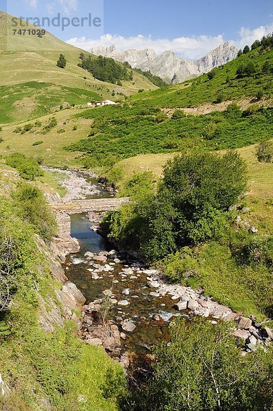 Laubwald  Europa  über  Tal  Brücke  Ignoranz  Aragonien  Huesca  Karst  Kalkstein  Spanien