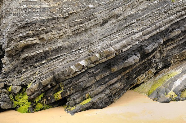 Felsbrocken  Europa  Strand  Steilküste  glatt  Sedimentgestein  gefaltet  Kalkstein  Marl  Spanien