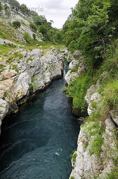 Europa  Berg  Fürsorglichkeit  Tal  schnitzen  Karst  Kalkstein  Spanien