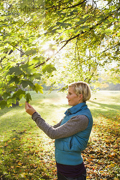 Frau bewundert Blätter im Park