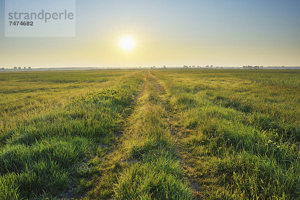 Weg  Österreich  Burgenland