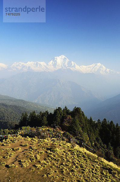 Hügel  Ansicht  Nepal