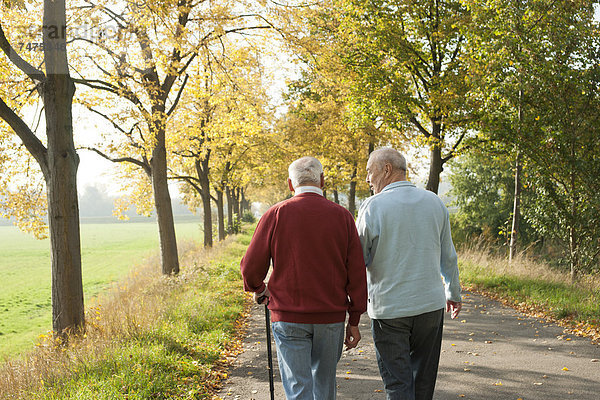 Senior Senioren Mann gehen Baum Weg Herbst Menschenreihe