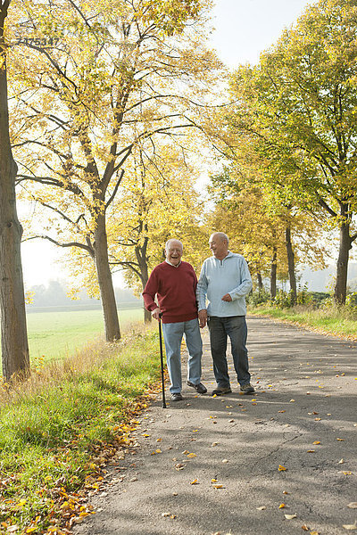 Senior Senioren Mann gehen Baum Weg Herbst Menschenreihe