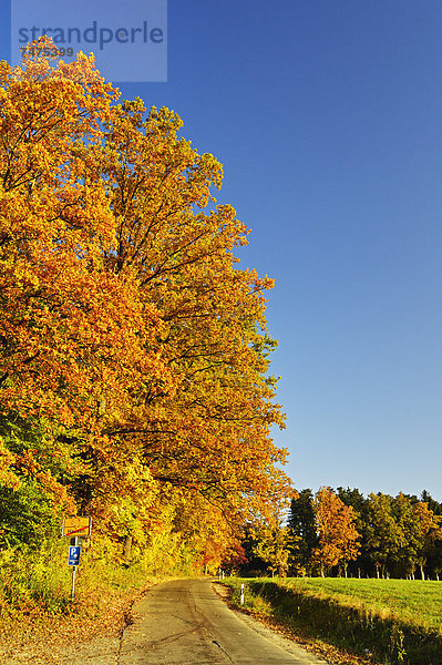 Baden-Württemberg  Deutschland