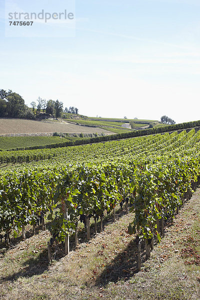 Frankreich  Aquitanien  Gironde