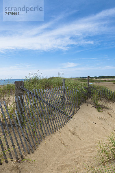 Vereinigte Staaten von Amerika  USA  Cape Cod National Seashore  Massachusetts  Provincetown