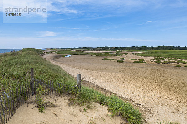 Vereinigte Staaten von Amerika  USA  Cape Cod National Seashore  Massachusetts  Provincetown