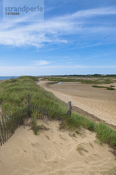 Vereinigte Staaten von Amerika  USA  Cape Cod National Seashore  Massachusetts  Provincetown