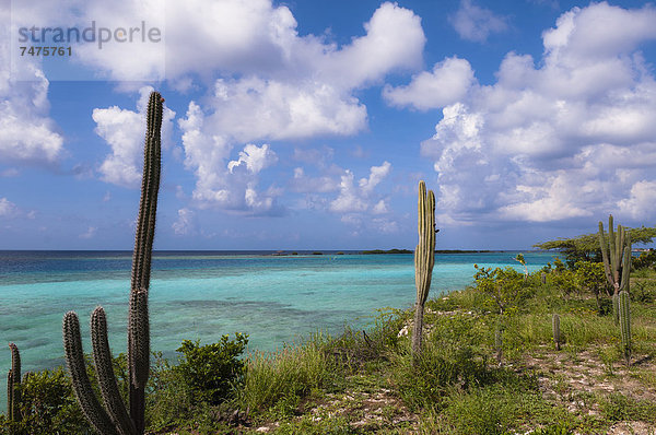 Karibik  Aruba  Kleine Antillen