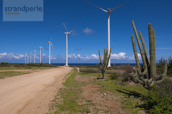Windturbine Windrad Windräder Fernverkehrsstraße schmutzig Karibik Aruba Kaktus Kleine Antillen
