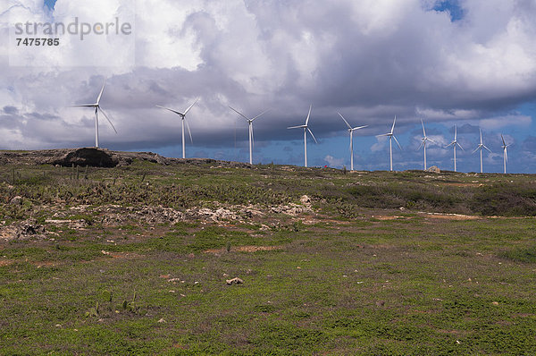 Karibik Aruba Kleine Antillen