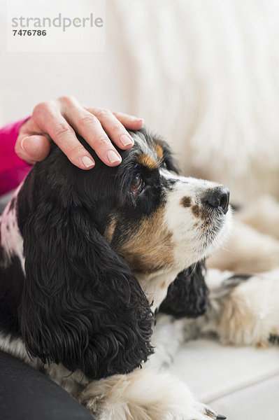 Senior  Senioren  Frau  Hund  streicheln