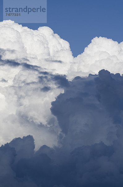 Cumulus Wolkenbildung