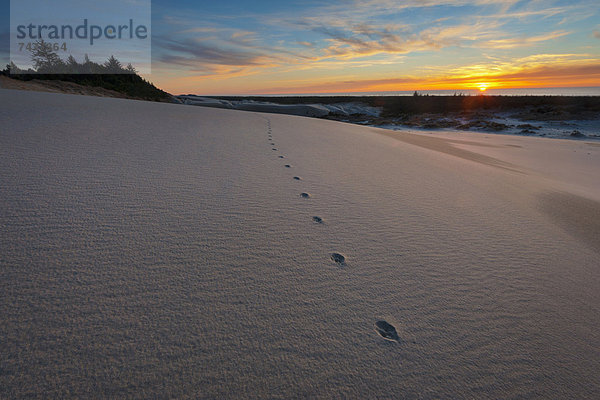 Winter  Sonnenuntergang  Landschaft  über