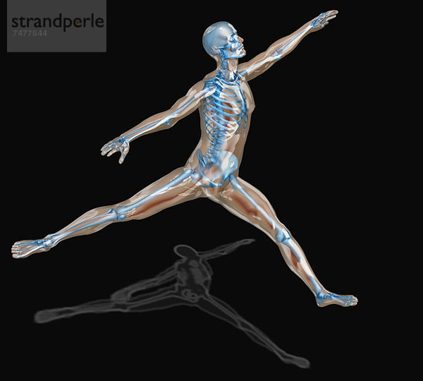 Mensch  Fotografie  tanzen  Digitale Verbesserung  Ballett  Aufführung