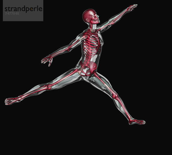 Mensch  Fotografie  tanzen  Digitale Verbesserung  Ballett  Aufführung