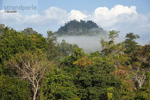 Landschaft im Nebel  Wald  Dschungel  Nordthailand  Thailand  Asien